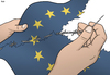Cartoon: European Flag (small) by Tjeerd Royaards tagged eu,brussels,european,union,refugee,crisis,migration,migrants