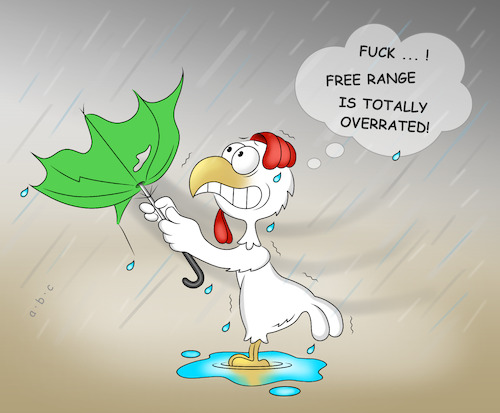 Cartoon: Free range (medium) by a-b-c tagged abc,chickens,eggs,chicken,farm,free,range,wind,weather,advantage,disadvantage,agriculture,farmer,egg,puddle,rain,storm,umbrella,abc,chickens,eggs,chicken,farm,free,range,wind,weather,advantage,disadvantage,agriculture,farmer,egg,puddle,rain,storm,umbrella