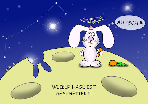 Weißer Hase