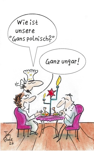 Cartoon: Weihnachtsessen (medium) by TomPauLeser tagged weihnachtsessen,weihnachten,gans,gänse,gänsebraten,gänsekeule,restaurant,ganz,ungarn,ungar,polen,polnisch,menü,chefkoch,koch,nachfrage,schmecken,roh,gekocht,gebraten