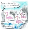 Cartoon: Flamingos (small) by TomPauLeser tagged flamingo,flamingos,angeber,zoo,angeberei