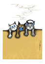 Cartoon: The three cats (small) by sally cartoonist tagged hate,violence,cat,magazines,newspapers,books,cartoons,caricature