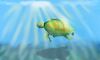 Cartoon: turtle swimming (small) by sal tagged turtle,swimming,cartoon