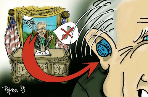 Cartoon: TikTok banned!! (medium) by pefka tagged tiktok,usa,biden