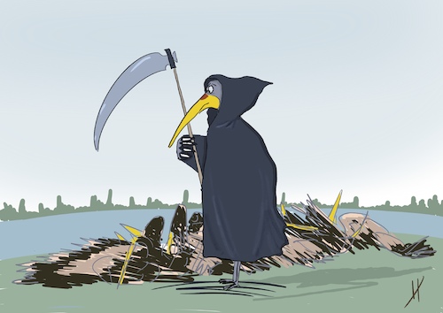 Vogelgrippe