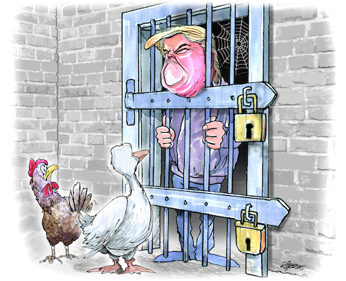 Vogelgrippe (medium) Cartoon: Vogelgrippe (medium) by Ritter-Cartoons tagged vogelgrippe,stallpflicht,donald,trump,ritter,cartoons,pressekarikatur,berthold,karikatur,pressezeichnung,vogelgrippe,stallpflicht,donald,trump,ritter,cartoons,pressekarikatur,berthold,karikatur,pressezeichnung