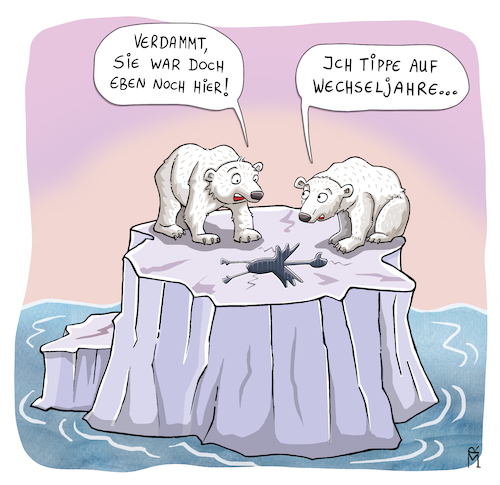 Cartoon: Wechseljahre (medium) by Rebecca-Meyer tagged wechseljahre,eisbär,gans,winterwechsel,eisberg,klimakterium,wechseljahresbeschwerden,lindern,arktis,verstehen,wechseljahre,eisbär,gans,winterwechsel,eisberg,klimakterium,wechseljahresbeschwerden,lindern,arktis,verstehen