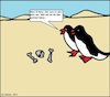 Cartoon: Glatt... (small) by Kruscha1978 tagged glatt,glatteis,wüste,pinguine
