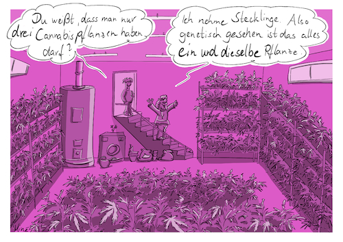 Cartoon: Cannabis (medium) by MineCartoons tagged cannabis,marihuana,anbau,zucht,keller,cannabislegalisierung,genetik,stecklinge,vererbungslehre