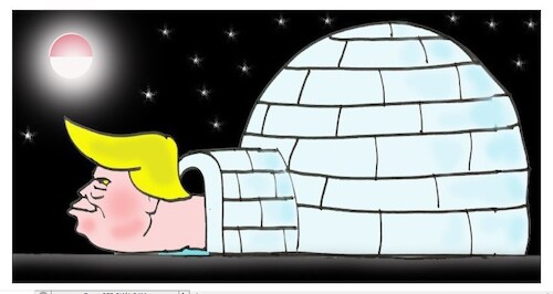 Cartoon: greenland (medium) by MSB tagged greenland