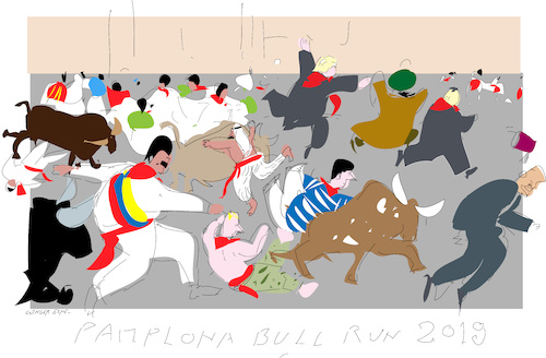 Pamplona Bull Run