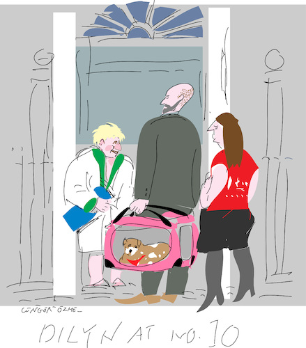 Cartoon: Welcome Home (medium) by gungor tagged uk,uk