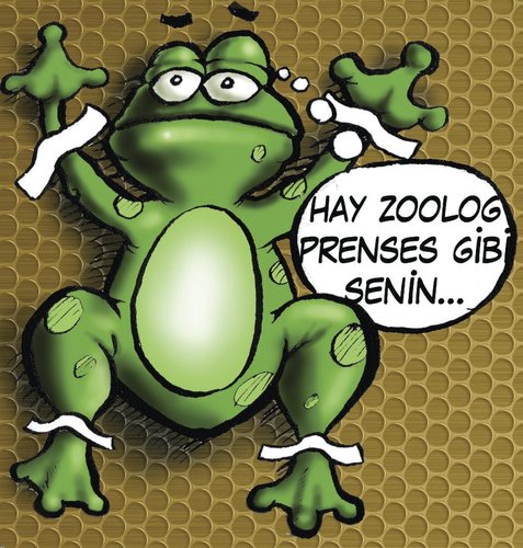 Cartoon: frog prince (medium) by gereksiztarama tagged frog,prince