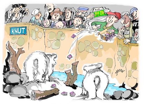 Cartoon: Knut (medium) by Dragan tagged zoo,de,berlin,knut,peta