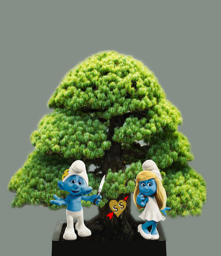 Cartoon: Bonsai... (medium) by berk-olgun tagged bonsai