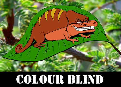 Cartoon: Colour Blind... (medium) by berk-olgun tagged colour,blind