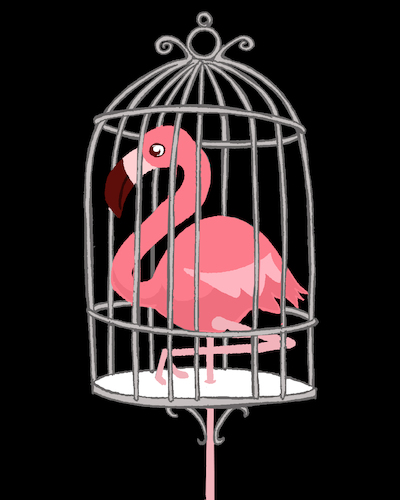 Cartoon: Flamingo... (medium) by berk-olgun tagged flamingo