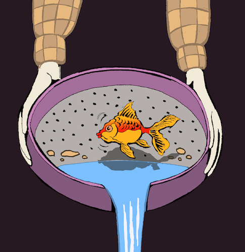 Cartoon: Goldfish... (medium) by berk-olgun tagged goldfish