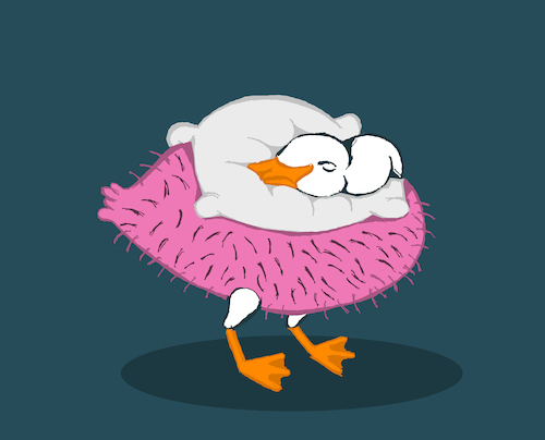 Cartoon: Goose Feather Pillow... (medium) by berk-olgun tagged goose,feather,pillow