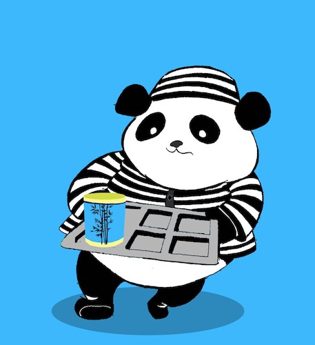 Cartoon: Panda Prison... (medium) by berk-olgun tagged panda,prison