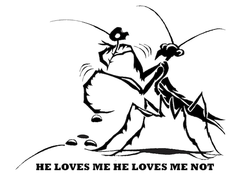 Cartoon: Praying Mantis... (medium) by berk-olgun tagged praying,mantis