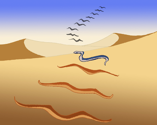 Cartoon: The Snake... (medium) by berk-olgun tagged the,snake