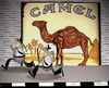 Cartoon: Camouflage.. (small) by berk-olgun tagged cameouflage