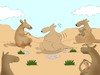 Cartoon: Kangaroo... (small) by berk-olgun tagged kangaroo