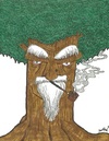 Cartoon: The wise old tree (small) by m-crackaz tagged tree,shakin,leaf,leaves,trunk,wood,old