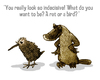 Cartoon: new zealand (small) by jenapaul tagged animals,new,zealand,people,drawing
