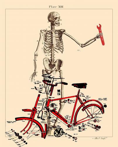 Cartoon: bike (medium) by zu tagged bike,skull