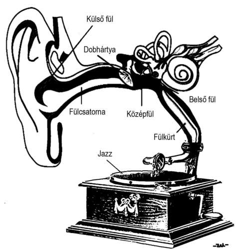 Cartoon: Gramophone (medium) by zu tagged ear,gramophone