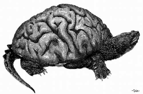 Cartoon: turtle (medium) by zu tagged brain,turtle