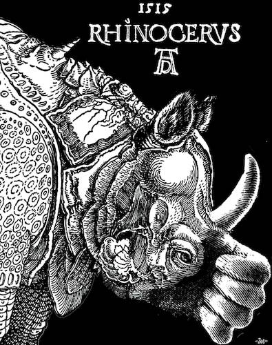 Cartoon: Yes (medium) by zu tagged rhinoceros,durer,hand,thumb