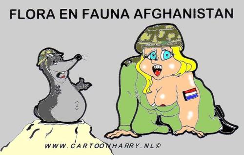 Cartoon: Afghanistan Flora en Fauna (medium) by cartoonharry tagged afghanistan,girl,sexy,mol,flora,fauna,soldate