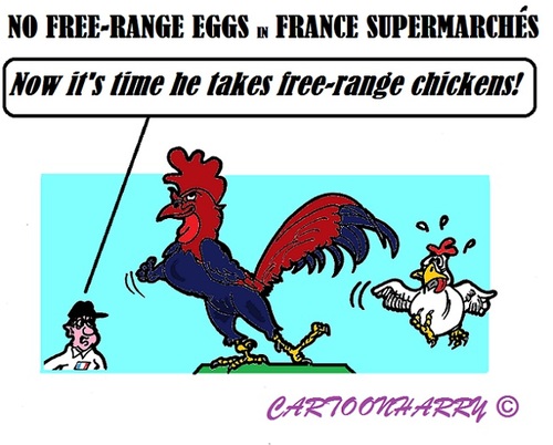 Cartoon: Banned in France (medium) by cartoonharry tagged france,eggs,chicken,freerange,supermarche