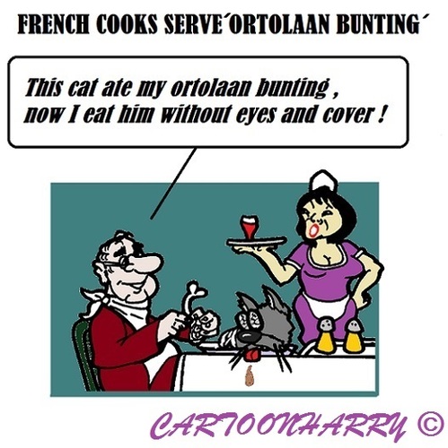 Cartoon: French Cooks (medium) by cartoonharry tagged cooks,ortolaan,french,france