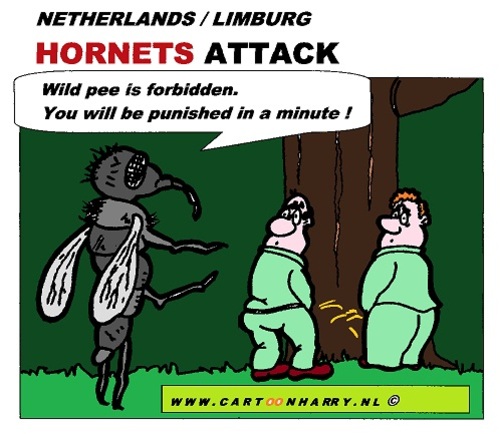 Cartoon: Hornets Attack (medium) by cartoonharry tagged hornets,attack,holland,pee,wee,cartoon,cartoonharry,cartoonist,dutch,toonpool