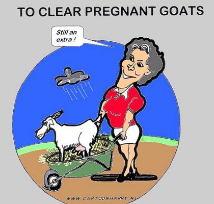 Cartoon: Kill Pregnant Goats (medium) by cartoonharry tagged cartoonharry,goat,mankind,verburg