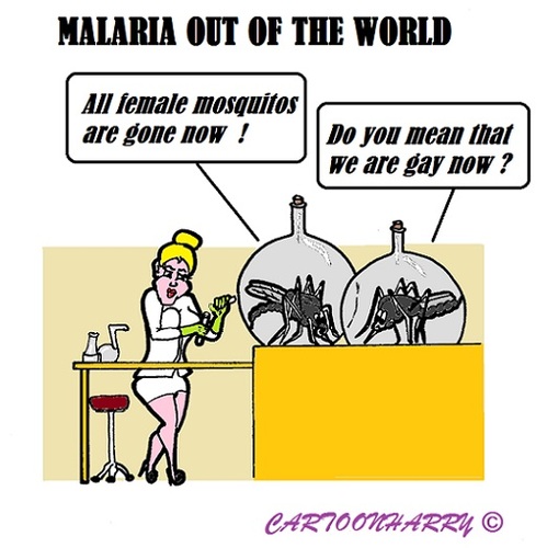 Cartoon: Mosquito Change (medium) by cartoonharry tagged musquitos,lab,female,gay