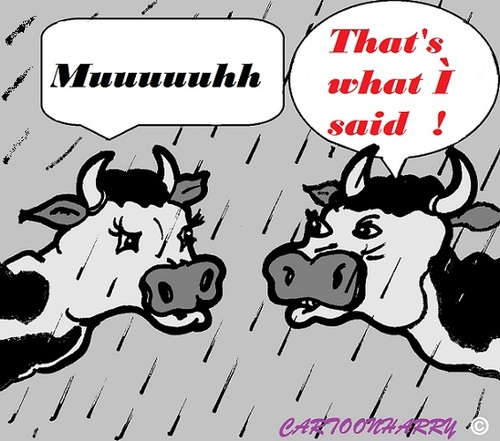 Cartoon: Muuuuuhhhhh (medium) by cartoonharry tagged cow,cartoon,cartoonist,cartoonharry,toon,toons,toonpool,dutch