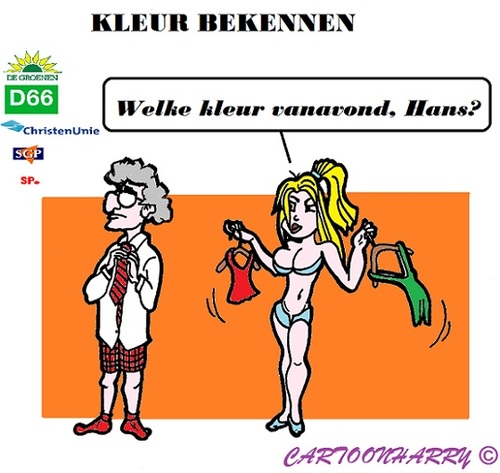 Cartoon: Politieke kleur (medium) by cartoonharry tagged politiek,kleur,welke