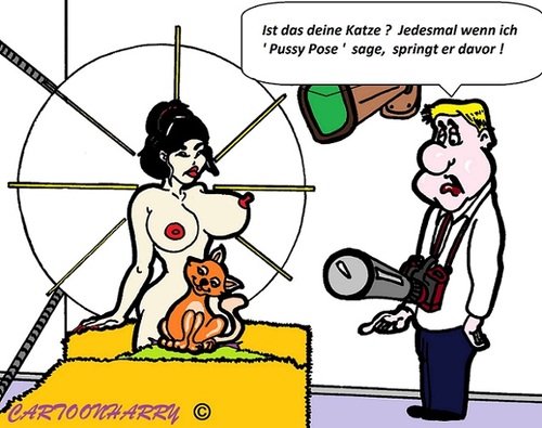 Cartoon: Pussy Pose (medium) by cartoonharry tagged katze,pussy,pose,photograf,photografieren,kartun,cartoon,cartoonist,cartoonharry,dutch,deutsch,toonpool