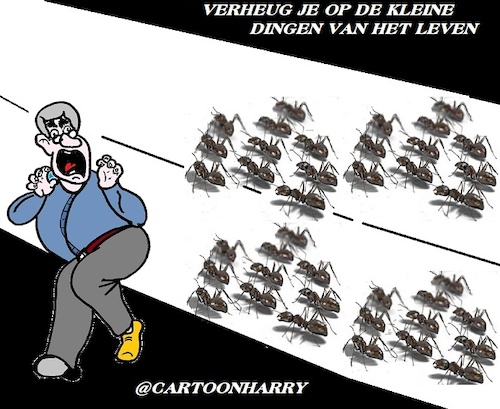 Cartoon: Verheug (medium) by cartoonharry tagged leven,verheug,klein,dingen