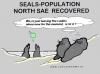 Cartoon: Recovering North Sea (small) by cartoonharry tagged seal