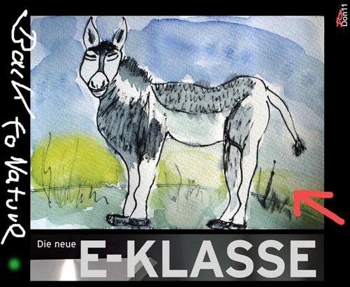 Cartoon: Die neue E-Klasse (medium) by Vanessa tagged mercedes,benz,esel,auto,car,tiere,natur