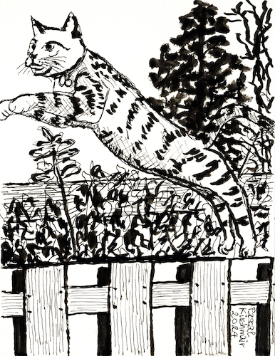 Cartoon: Auf einen Katzensprung (medium) by Pascal Kirchmair tagged leap,jumping,jump,leaping,katzensprung,kunst,artwork,pascal,kirchmair,cartoon,chat,cat,katze,gato,gatto,portrait,artist,artiste,artista,künstler,illustration,ink,drawing,zeichnung,caricature,karikatur,ilustracion,dibujo,desenho,disegno,ilustracao,illustrazione,illustratie,dessin,de,presse,du,jour,art,of,the,day,tekening,teckning,cartum,vineta,comica,vignetta,caricatura,arte,tinta,china,encre,chine,nanquim,inchiostro,da,tusche,tuschezeichnung,leap,jumping,jump,leaping,katzensprung,kunst,artwork,pascal,kirchmair,cartoon,chat,cat,katze,gato,gatto,portrait,artist,artiste,artista,künstler,illustration,ink,drawing,zeichnung,caricature,karikatur,ilustracion,dibujo,desenho,disegno,ilustracao,illustrazione,illustratie,dessin,de,presse,du,jour,art,of,the,day,tekening,teckning,cartum,vineta,comica,vignetta,caricatura,arte,tinta,china,encre,chine,nanquim,inchiostro,da,tusche,tuschezeichnung