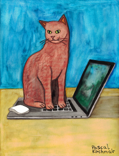 Cat on laptop