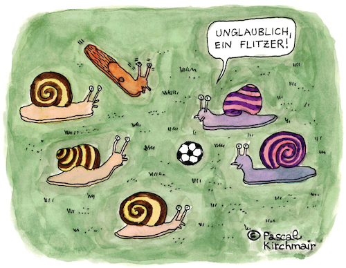 Der Flitzer