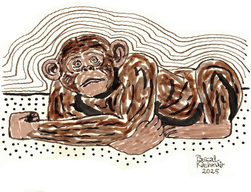 Cartoon: Liegender Schimpanse (medium) by Pascal Kirchmair tagged lazy,liegender,liegend,faul,müde,chimpanzee,schimpanse,chimpanze,chimpance,scimpanze,affe,monkey,ape,primat,scultura,singe,machango,mono,scimmia,macao,sculpture,skulptur,illustration,ink,drawing,zeichnung,pascal,kirchmair,cartoon,caricature,karikatur,ilustracion,dibujo,desenho,ilustracao,illustrazione,illustratie,dessin,de,presse,tekening,teckning,cartum,vineta,comica,vignetta,caricatura,tusche,tuschezeichnung,portrait,retrato,porträt,ritratto,art,arte,kunst,artwork,encre,chine,tinta,china,inchiostro,nanquim,painting,pintura,peinture,dipinto,malerei,pittura,escultura,lazy,liegender,liegend,faul,müde,chimpanzee,schimpanse,chimpanze,chimpance,scimpanze,affe,monkey,ape,primat,scultura,singe,machango,mono,scimmia,macao,sculpture,skulptur,illustration,ink,drawing,zeichnung,pascal,kirchmair,cartoon,caricature,karikatur,ilustracion,dibujo,desenho,ilustracao,illustrazione,illustratie,dessin,de,presse,tekening,teckning,cartum,vineta,comica,vignetta,caricatura,tusche,tuschezeichnung,portrait,retrato,porträt,ritratto,art,arte,kunst,artwork,encre,chine,tinta,china,inchiostro,nanquim,painting,pintura,peinture,dipinto,malerei,pittura,escultura